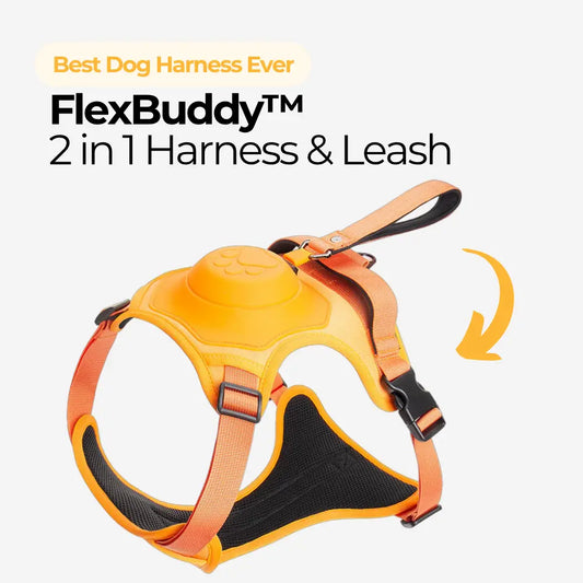 FlexBuddy™ 2 in 1 Harness & Leash