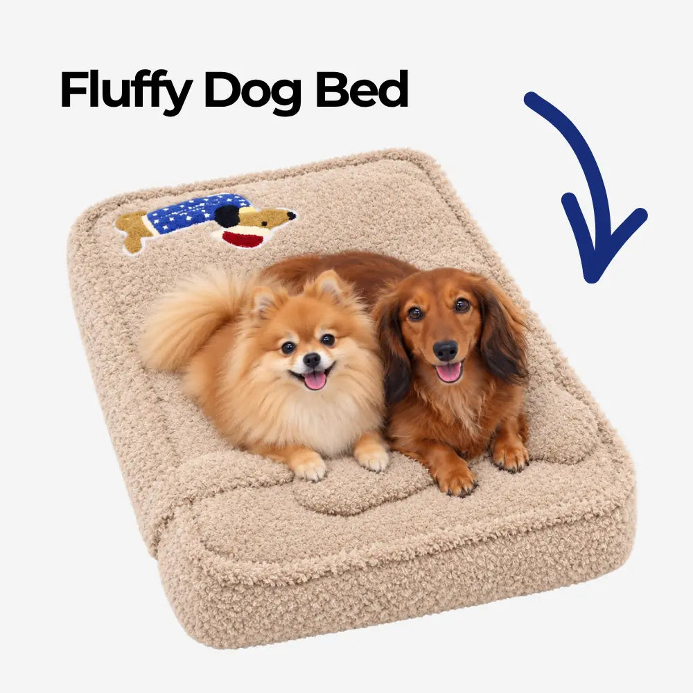 Fluffy Dog Bed