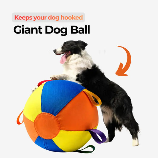 Giant Dog Ball