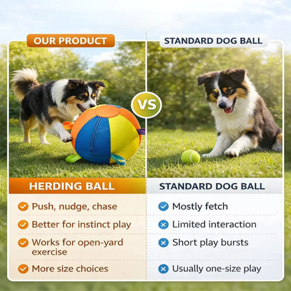 Giant Dog Ball