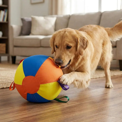 Giant Dog Ball