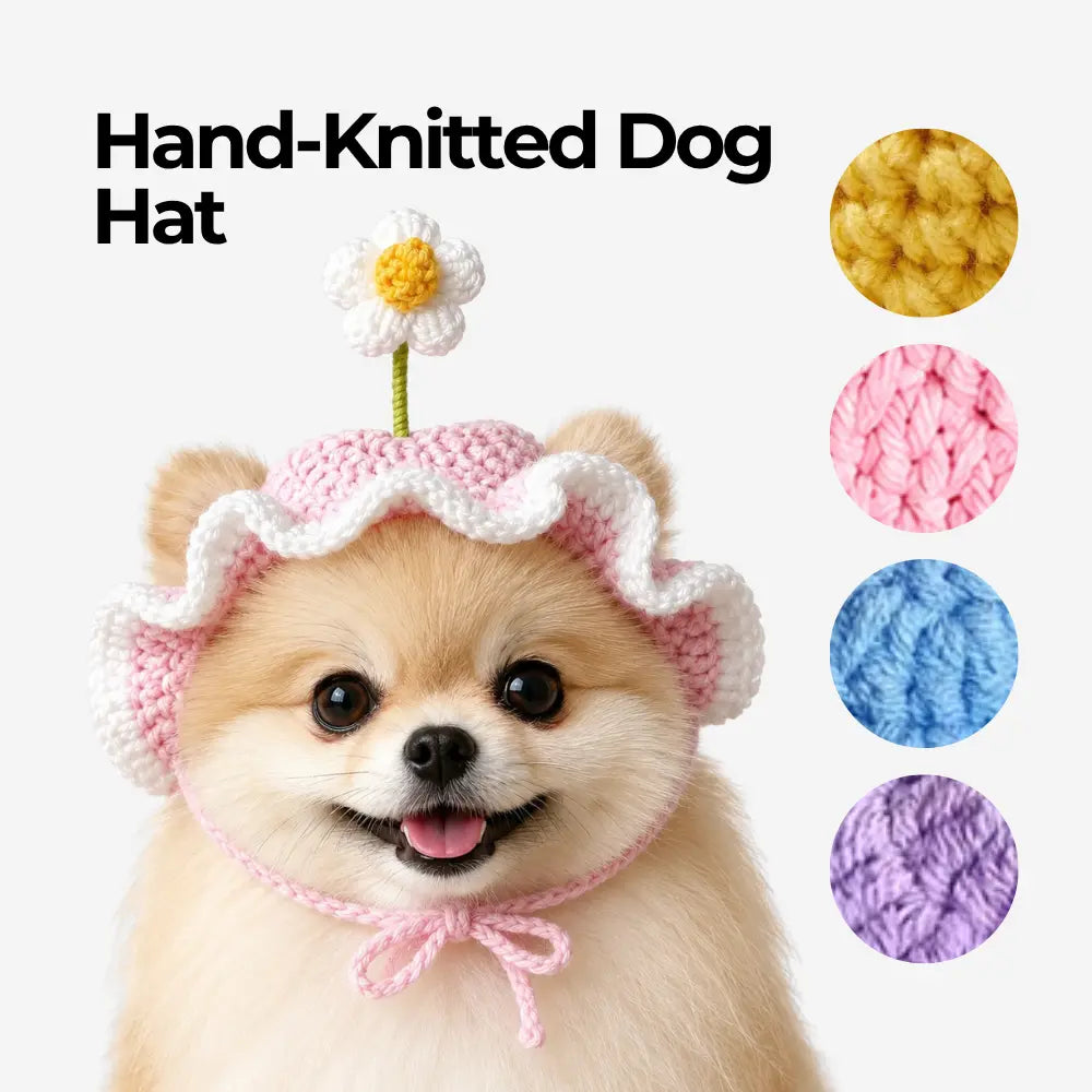 Hand-Knitted Dog Hat