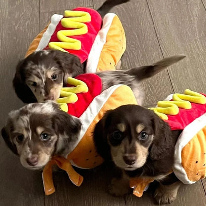 Hot Dog Halloween Costume for Dogs