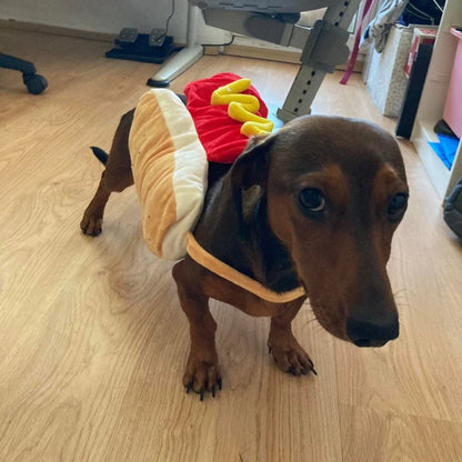 Hot Dog Halloween Costume for Dogs