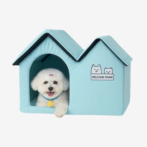 Ice Dog House