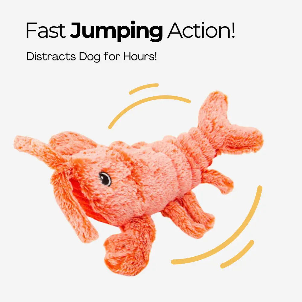 Floppy Lobster Interactive Dog Toy