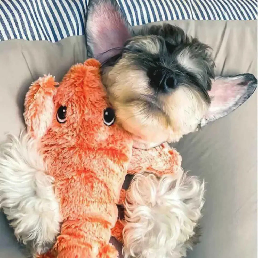 Floppy Lobster Interactive Dog Toy