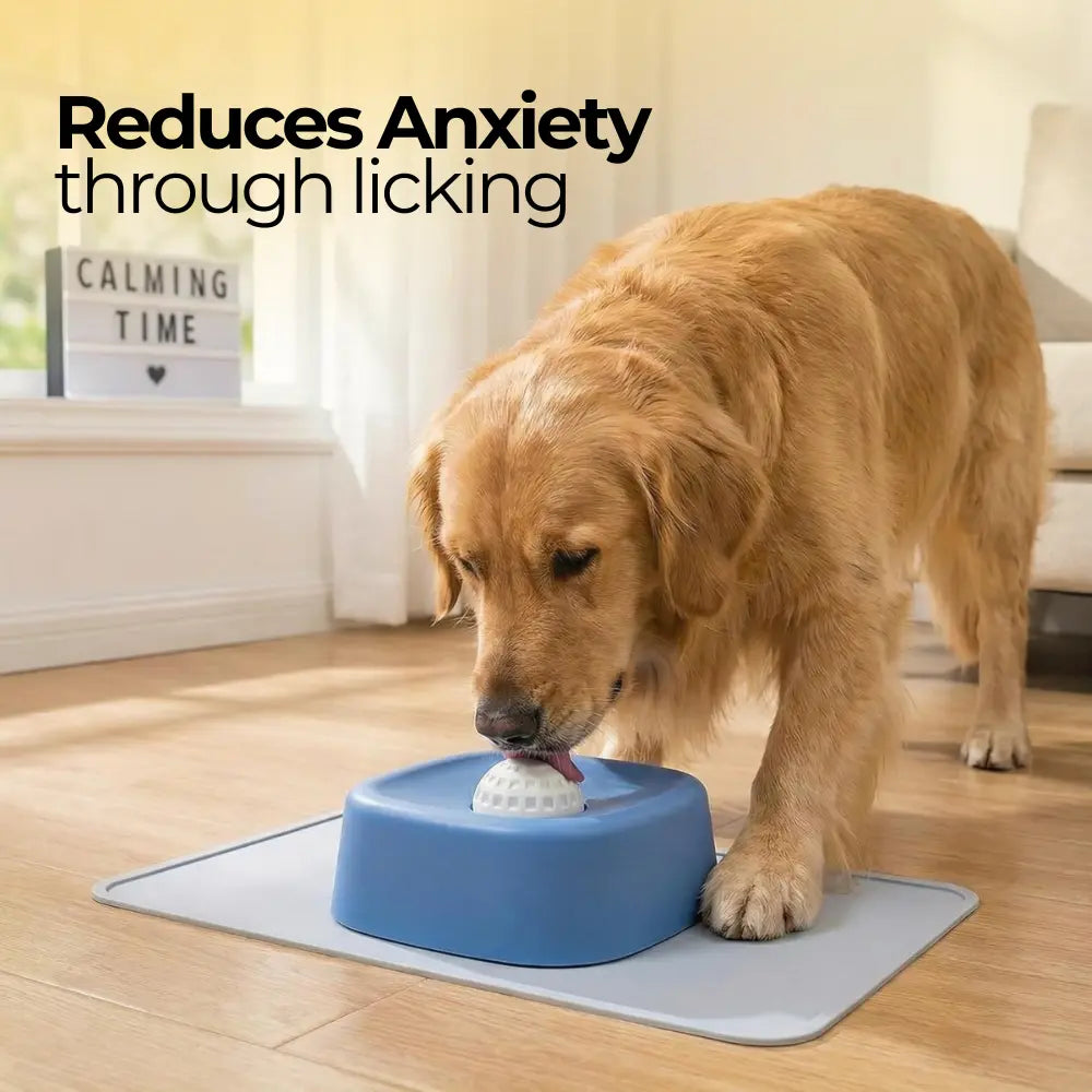 Licksy™ Lick Ball Toy