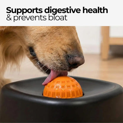 Licksy™ Lick Ball Toy