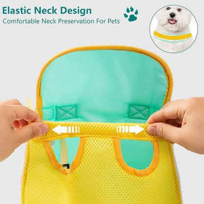 Small Dog Carrier Backpack