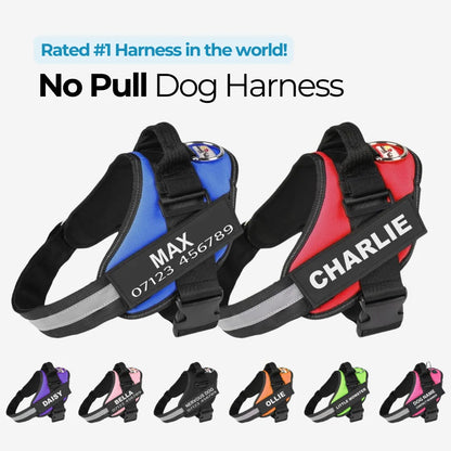 No Pull Dog Harness