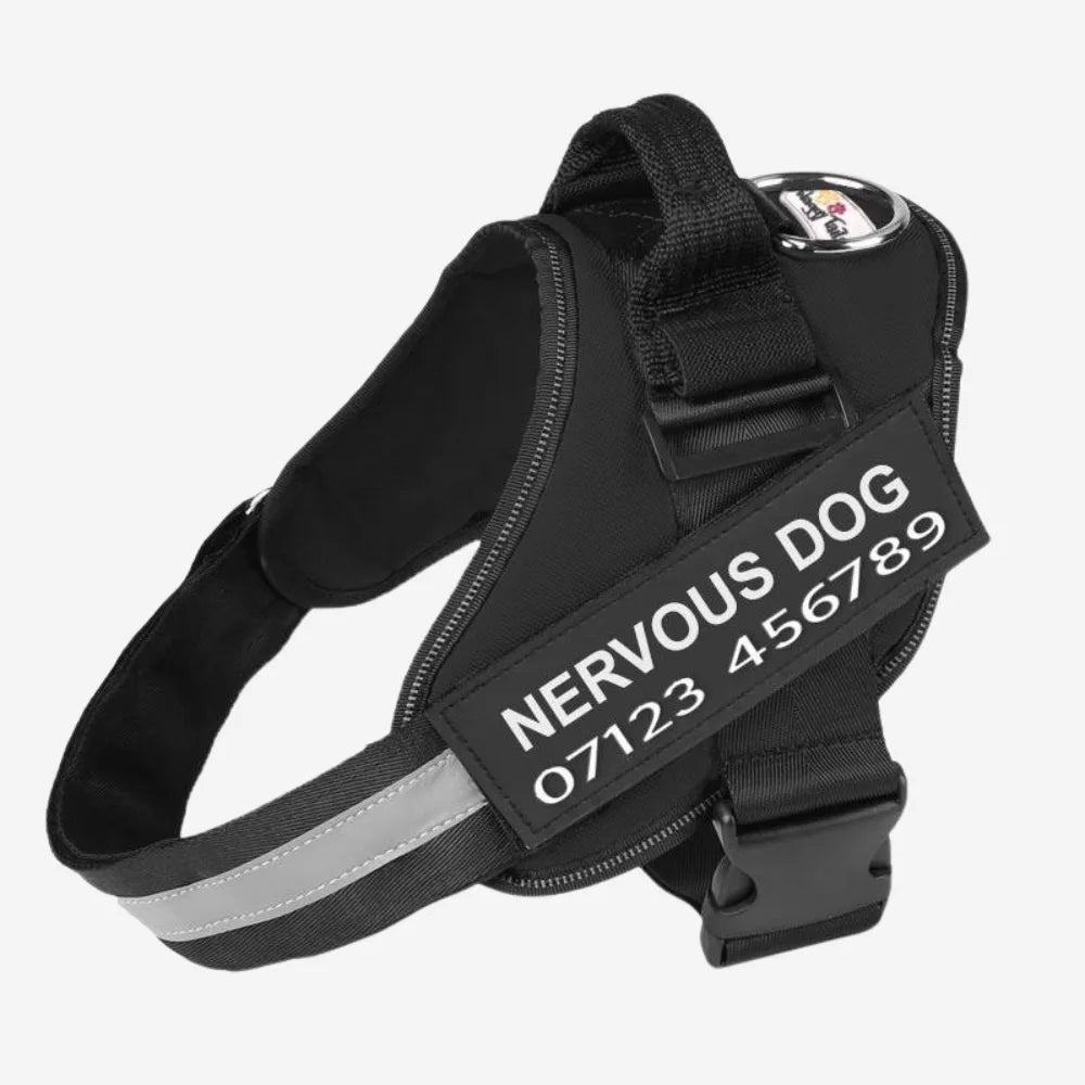 No Pull Dog Harness