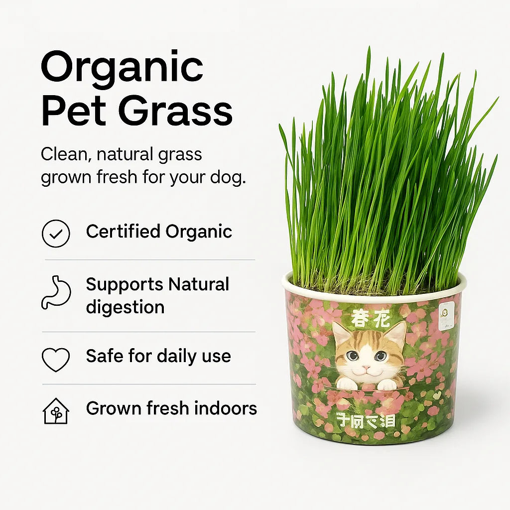 doggofinds-organic-pet-grass-benefits