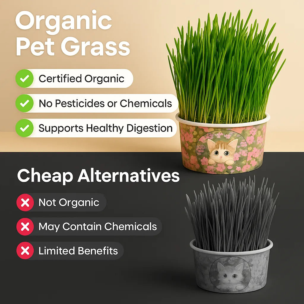 doggofinds-organic-pet-grass-compare