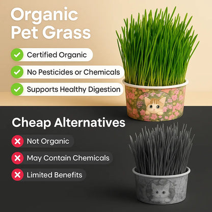 doggofinds-organic-pet-grass-compare