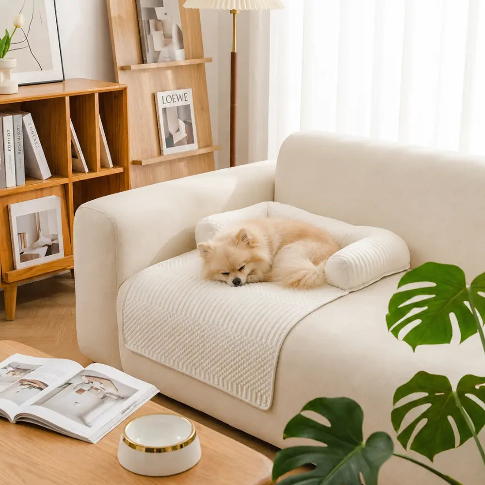Orthopedic Dog Bed