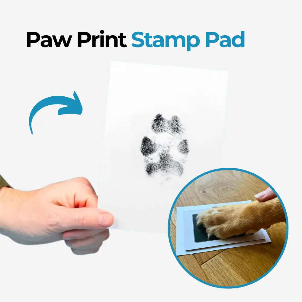 Paw Print Stamp Pad – DoggoFinds