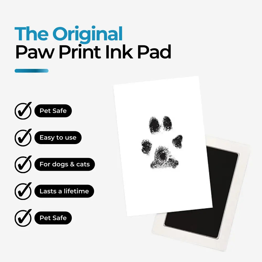 Paw Print Stamp Pad