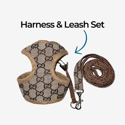 Pawcci Harness & Leash Set for Dogs