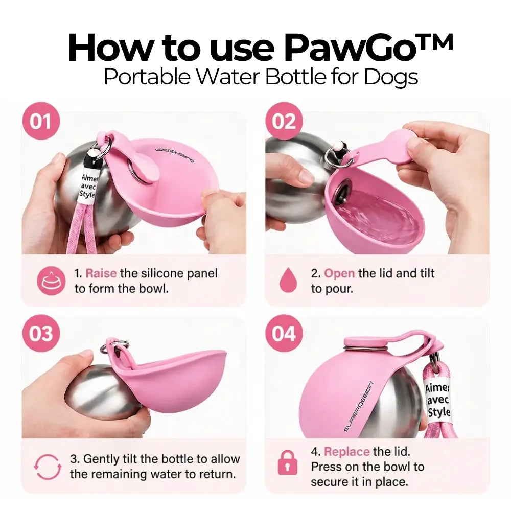 Instructions on how to use a PawGo portable water bottle for dogs, shown in four steps.
