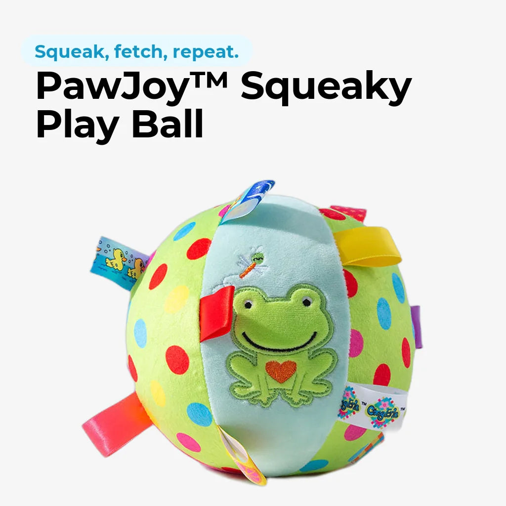 doggofinds-pawjoy-squeaky-play-ball-featured