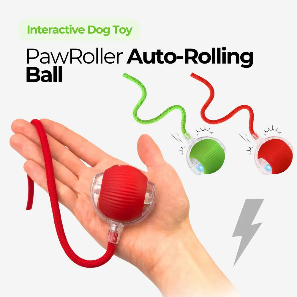 PawRoller™ Auto-Rolling Ball Toy