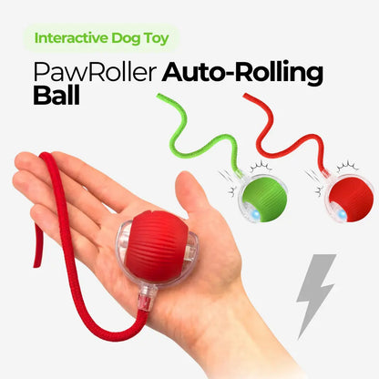 PawRoller™ Auto-Rolling Ball Toy
