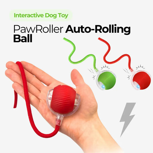 PawRoller™ Auto-Rolling Ball Toy