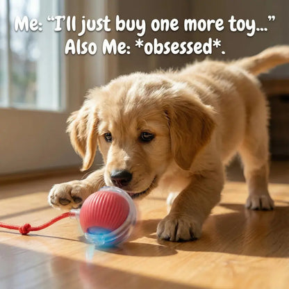 PawRoller™ Auto-Rolling Ball Toy
