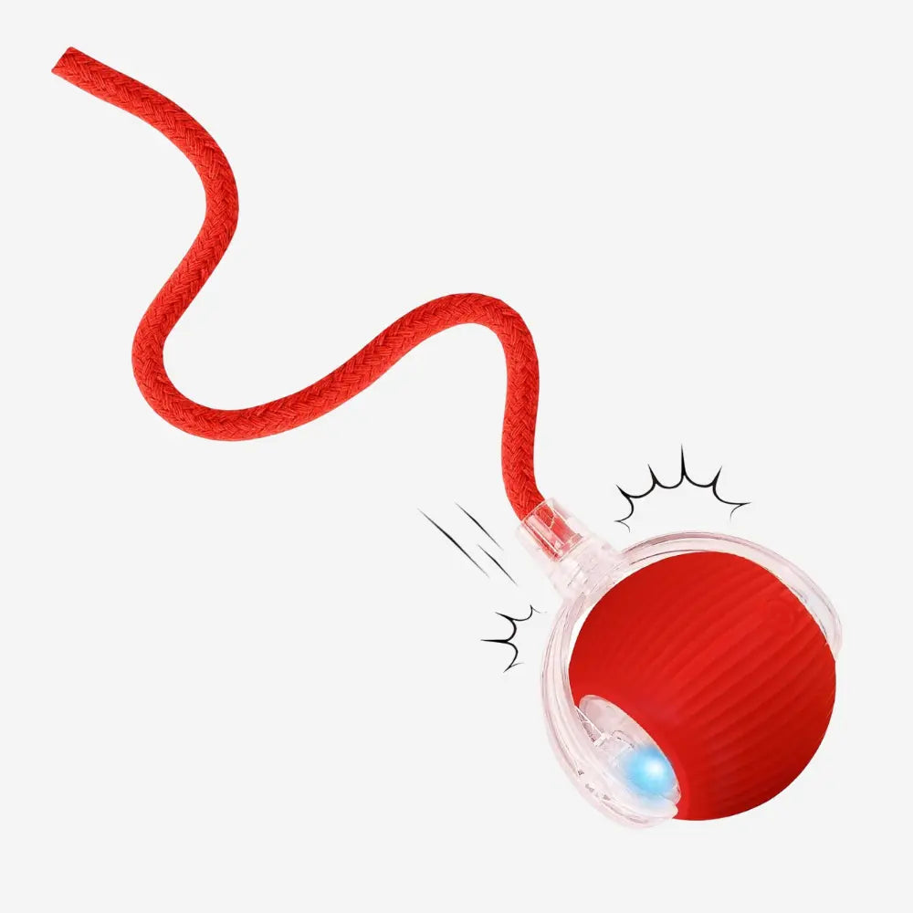 PawRoller™ Auto-Rolling Ball Toy