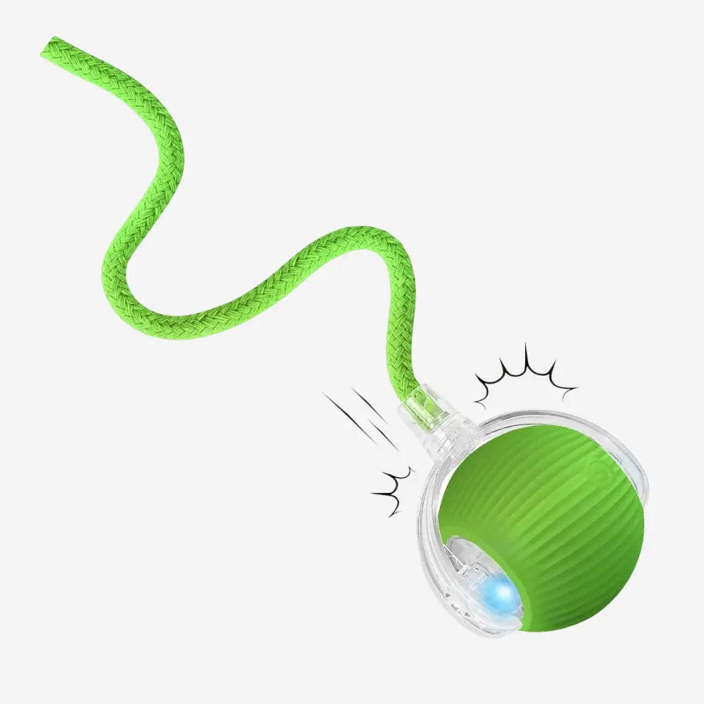 PawRoller™ Auto-Rolling Ball Toy