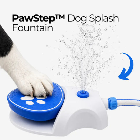 PawStep™ Dog Splash Fountain