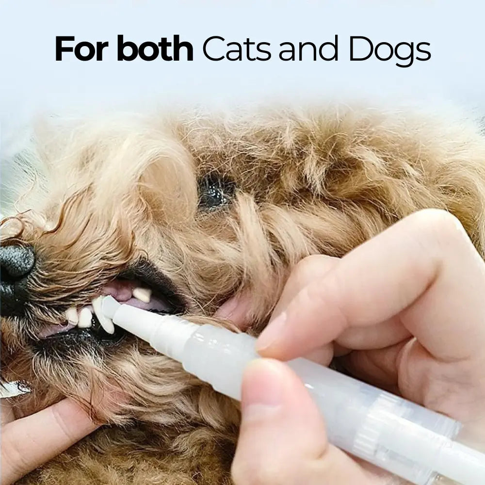 Pet Toothbrush Pen