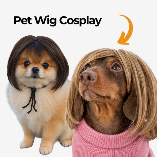 Pet Wig Cosplay