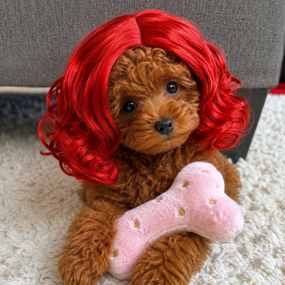 Pet Wig Cosplay