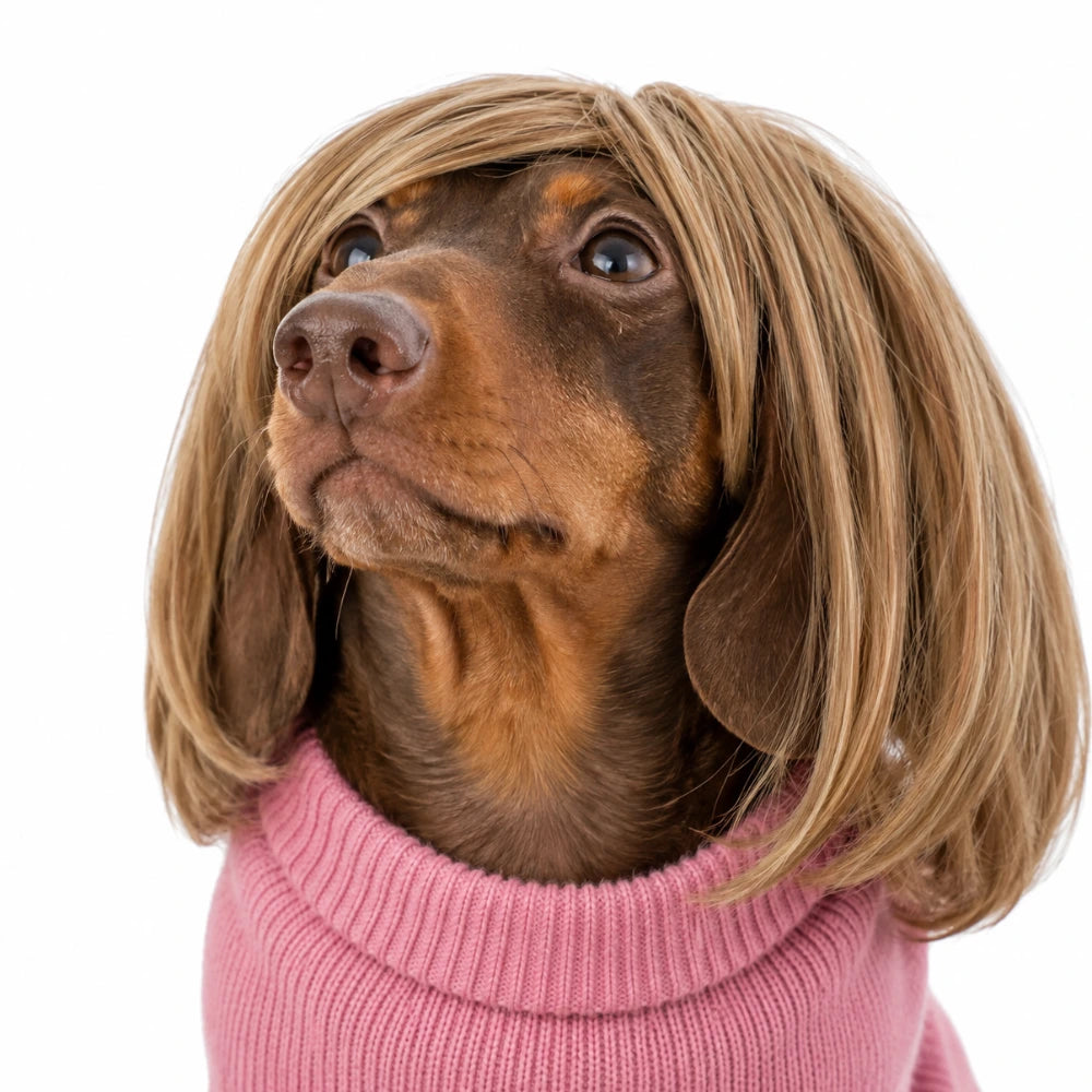 Pet Wig Cosplay