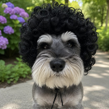 Pet Wig Cosplay