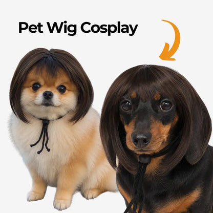 Pet Wig Cosplay