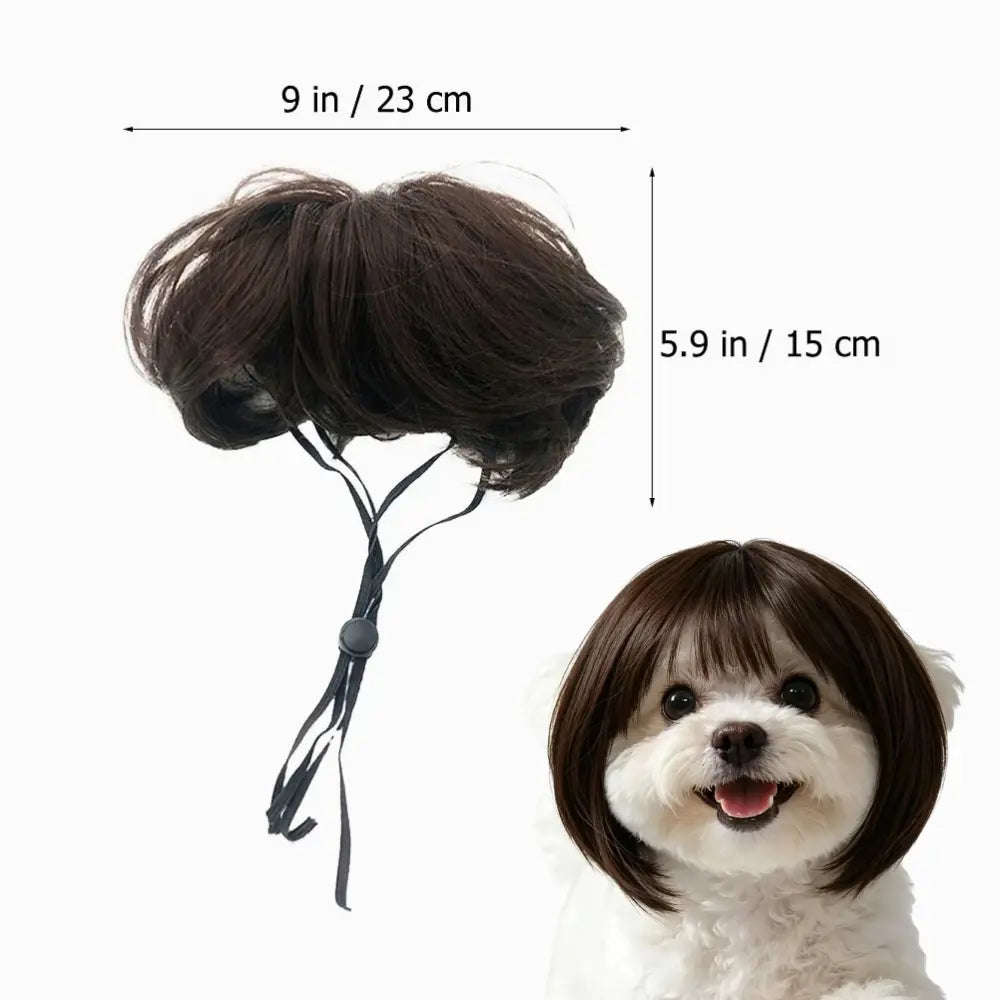 Pet Wig Cosplay