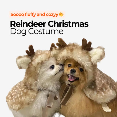 Reindeer Christmas Dog Costume