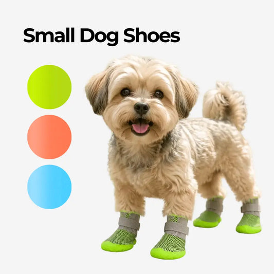Small Dog Shoes