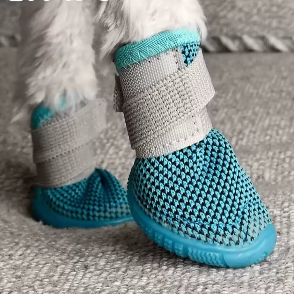 Small Dog Shoes