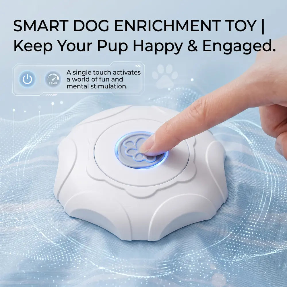 Smart Hide & Seek Dog Toy