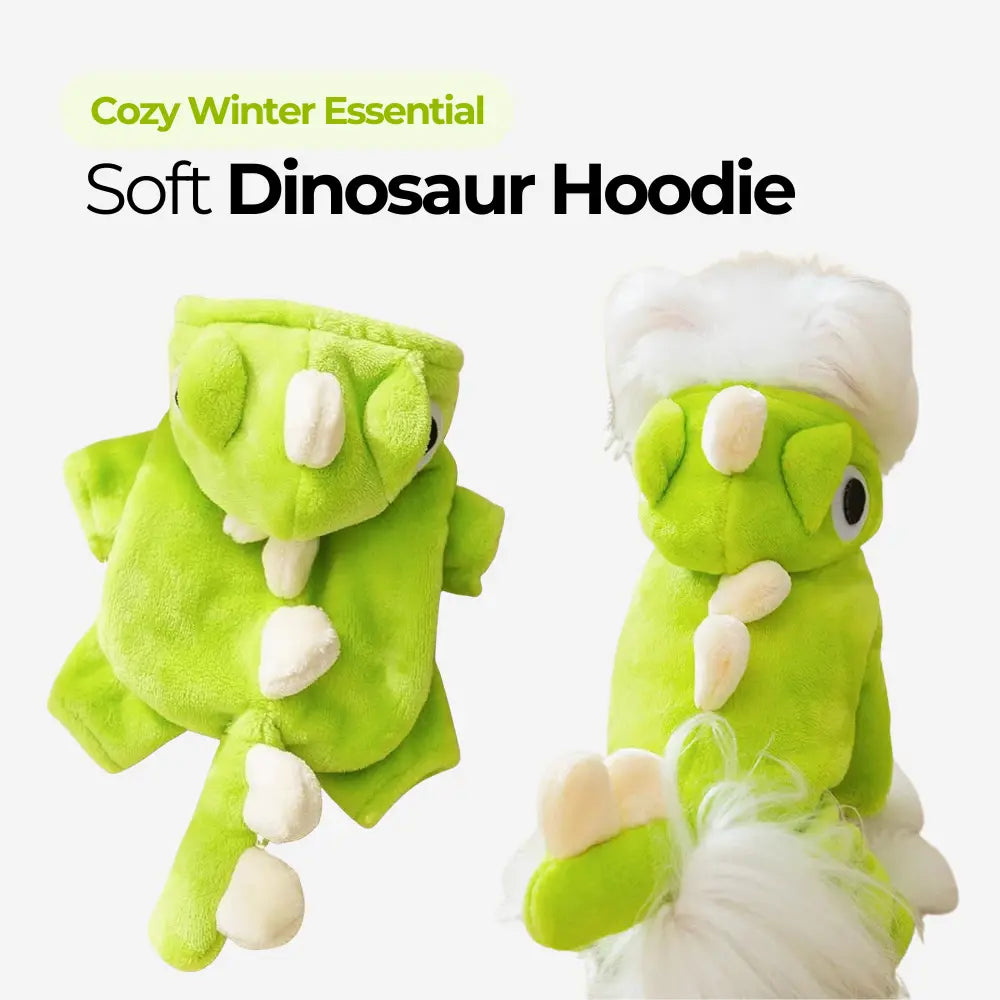 Soft Dinosaur Hoodie