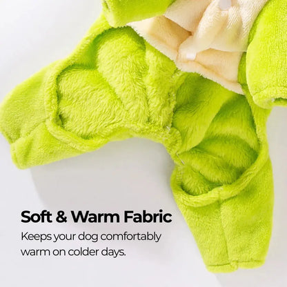 Soft Dinosaur Hoodie