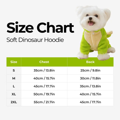 Soft Dinosaur Hoodie
