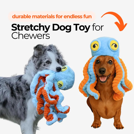 Illustration of Crate Training Stretchy Dog Toys