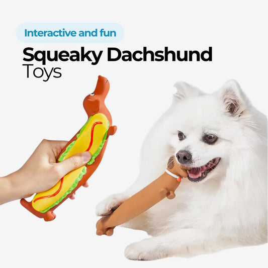 Dachshund Squeaky Dog Toy