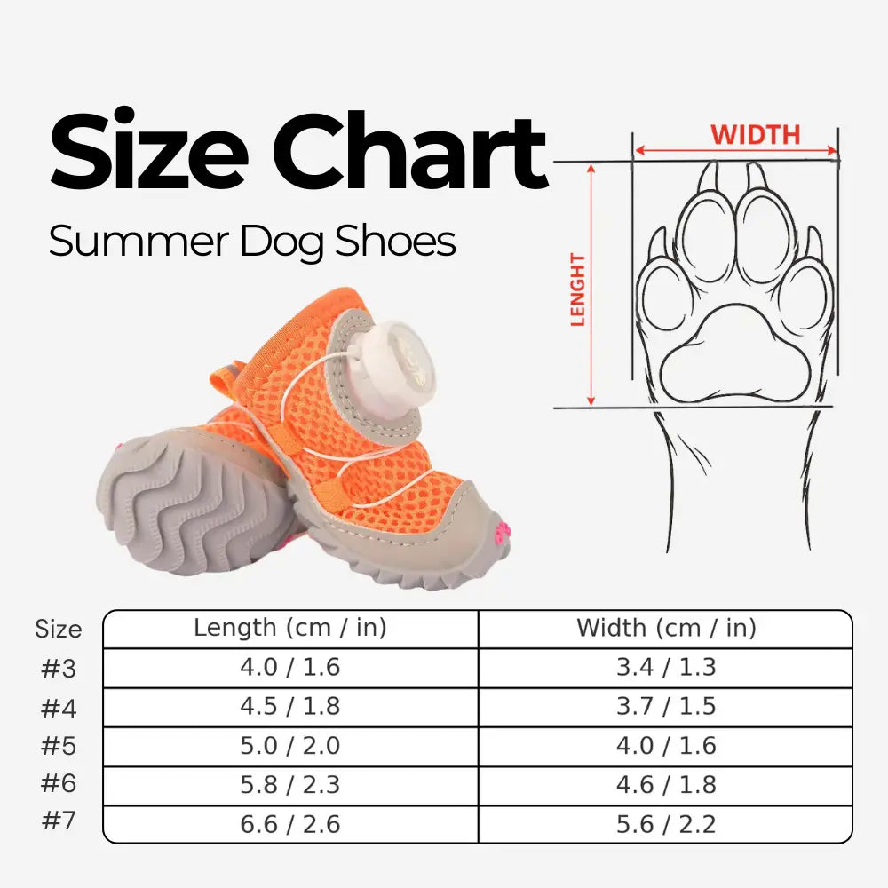 Summer Dog Shoes