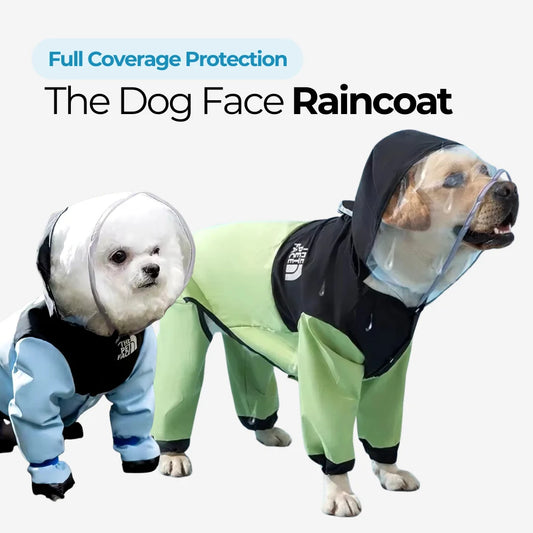 The Dog Face Raincoat